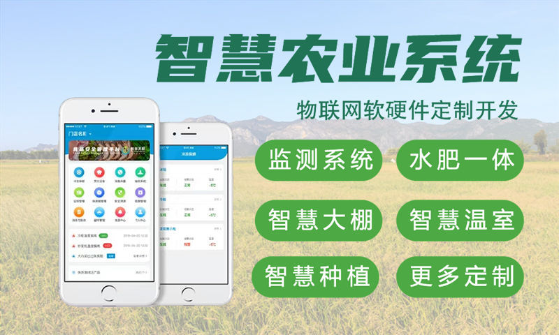 烟台STM32开发解决方案：破解智能硬件研发难题的高效路径