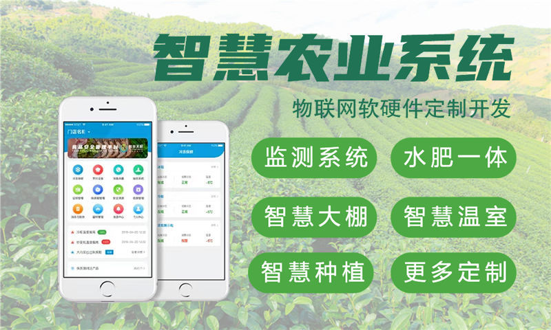 合肥嵌入式应用开发：物联网智能硬件解决方案助力企业高效转型