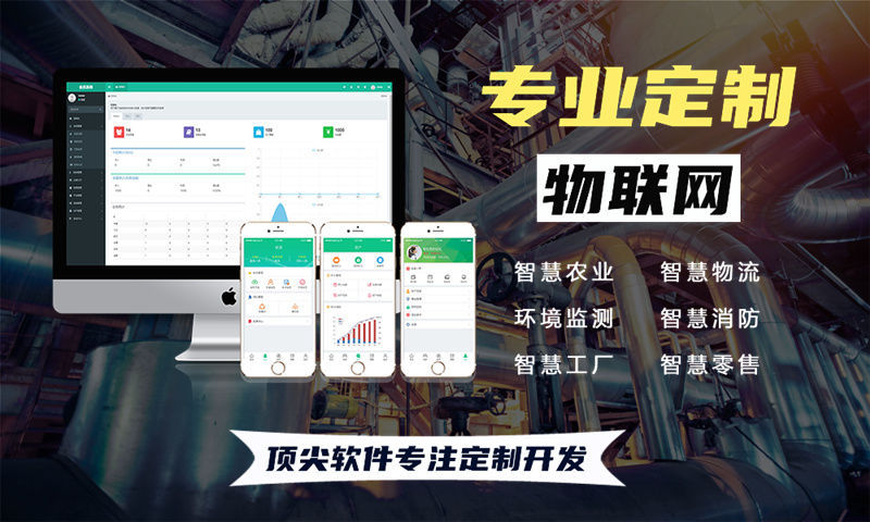 上海物联网开发如何通过嵌入式性能优化突破硬件研发瓶颈？