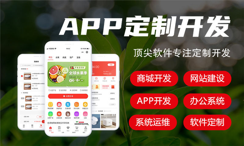 福州久鼎私域商城模式（小程序）开发：破解企业数字化转型难题的利器