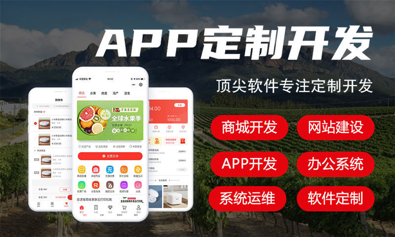 武汉排队免单商城系统开发软件：解决企业运营痛点的数字化转型利器