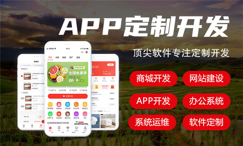 南京排队免单商城系统定制模式开发：解决企业运营痛点的数字化转型利器