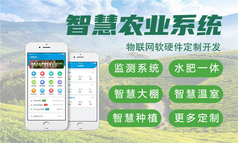 烟台物联网开发企业如何借助固件工程师突破硬件研发瓶颈？