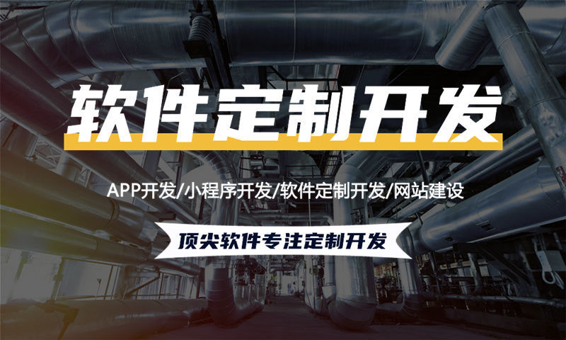 武汉绿色积分商家让利模式系统开发软件：助力企业高效运营的定制化解决方案